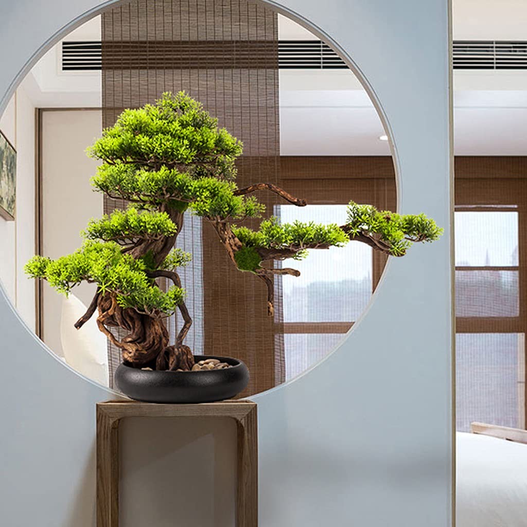 小さな盆栽 屋内シミュレーションウェルカムパインリビングルームの